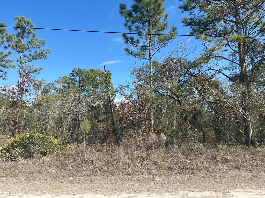 11072 Hyde Street Weeki Wachee, FL 34614 - Photo 1 of 1 a view of a yard