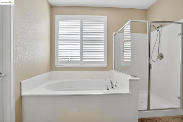 a view of a garden with a bench and trees in the background