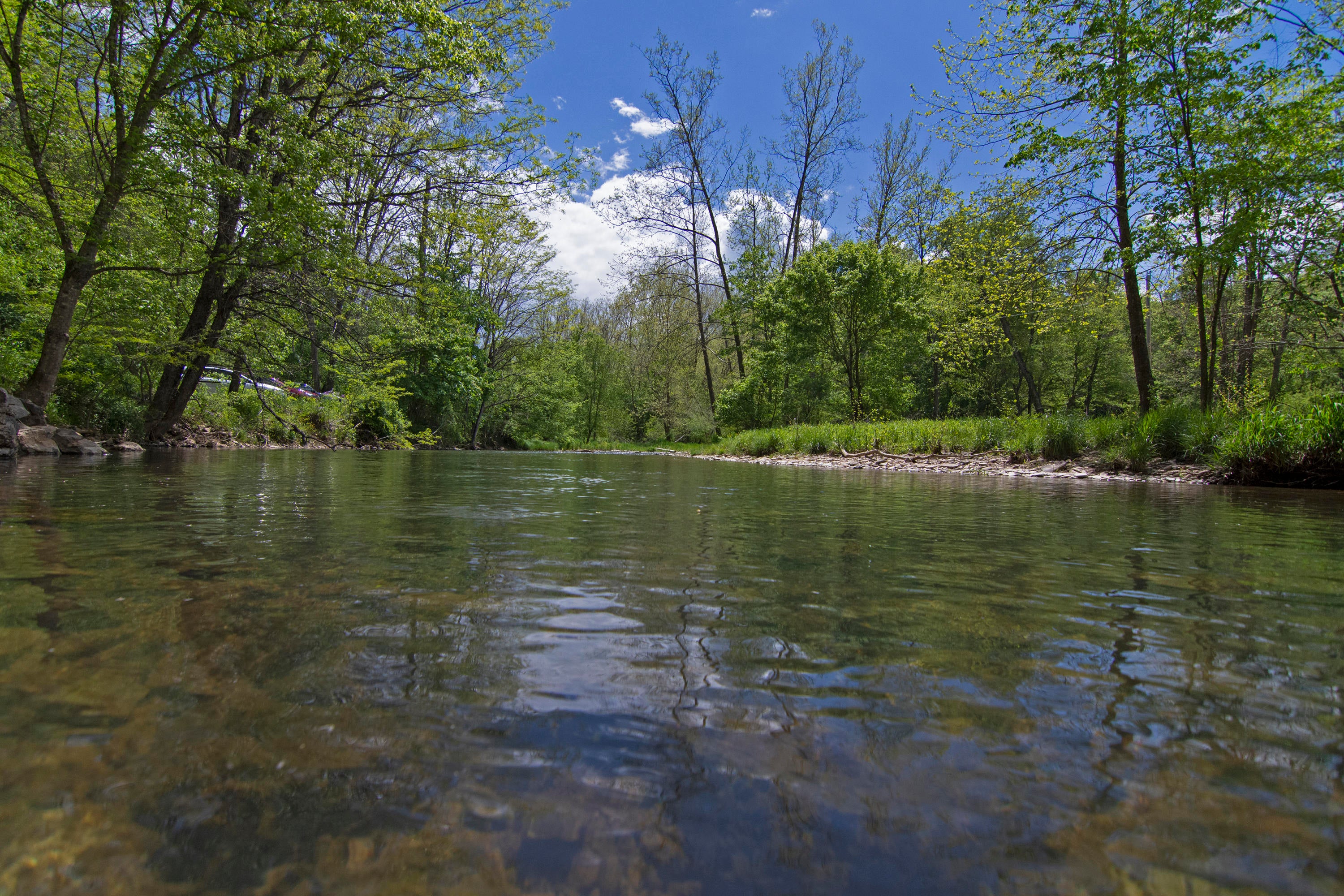 926 Rodgers Mill Road Sinks Grove, WV 24976 - Photo 2 of 31 Gallery Image 2