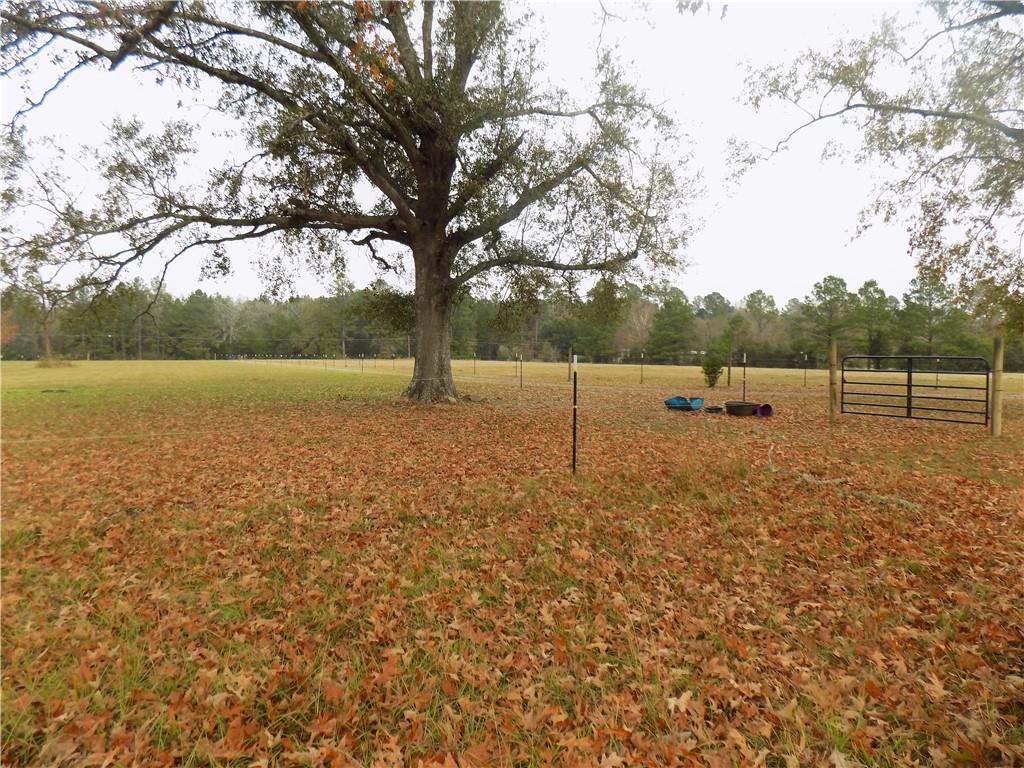 130 Duplissey Road Deville, LA 71328 - Photo 8 of 27