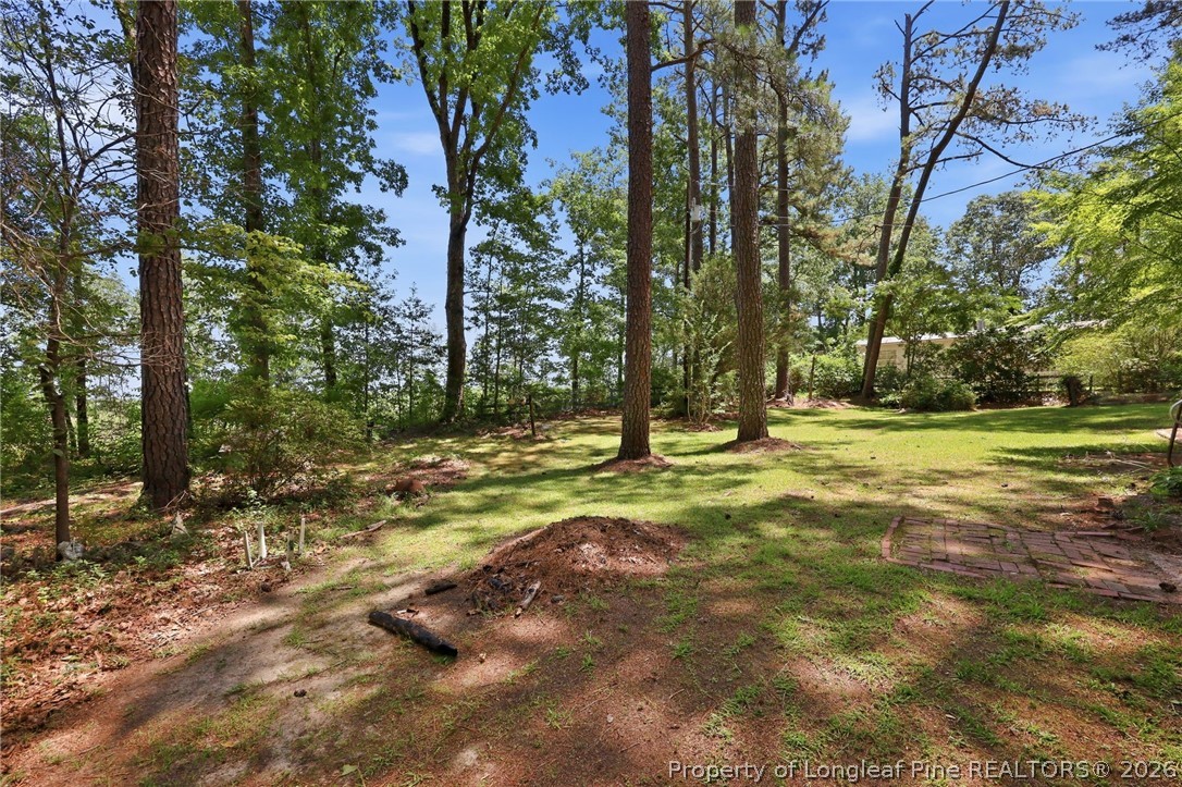 3993 McArthur Road Broadway, NC 27505 - Photo 50 of 50