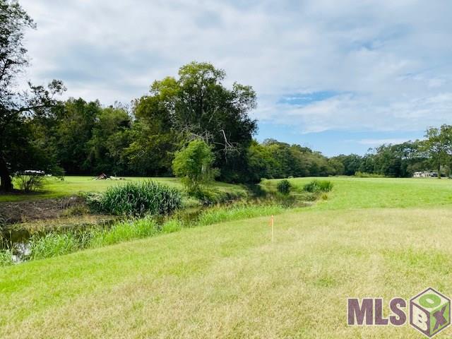 41447 Churchpoint Road Gonzales, LA 70737 - Photo 17 of 19 Rear Yard Water Access