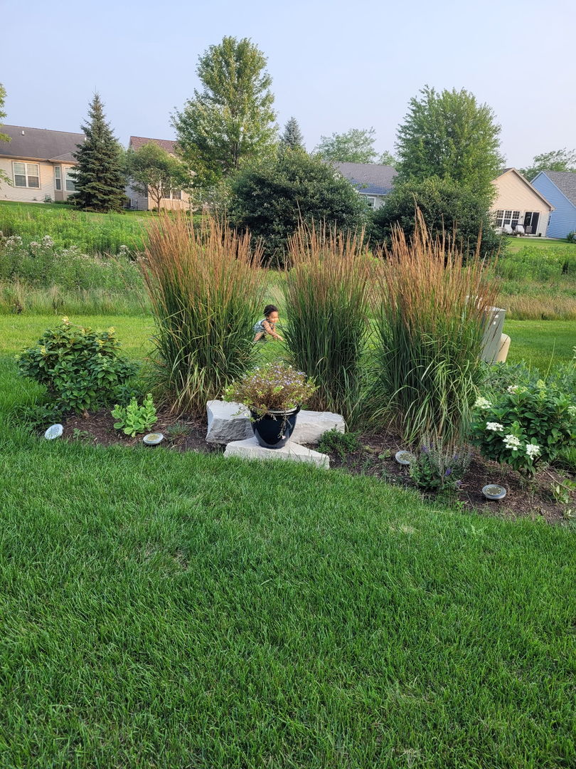 2497 Rolling Ridge Elgin, IL 60124 - Photo 27 of 28