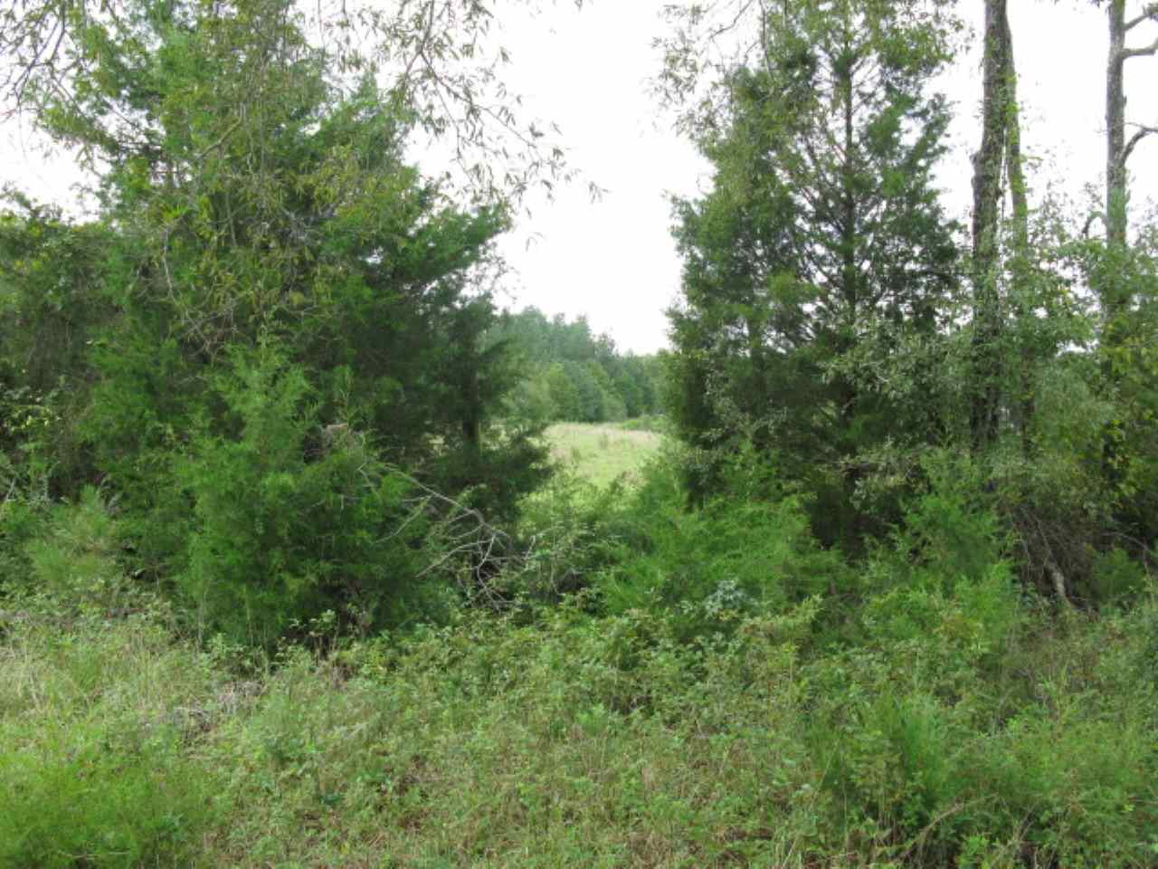 6552 Reidville Road Moore, SC 29369 - Photo 3 of 7 Gallery Image 3