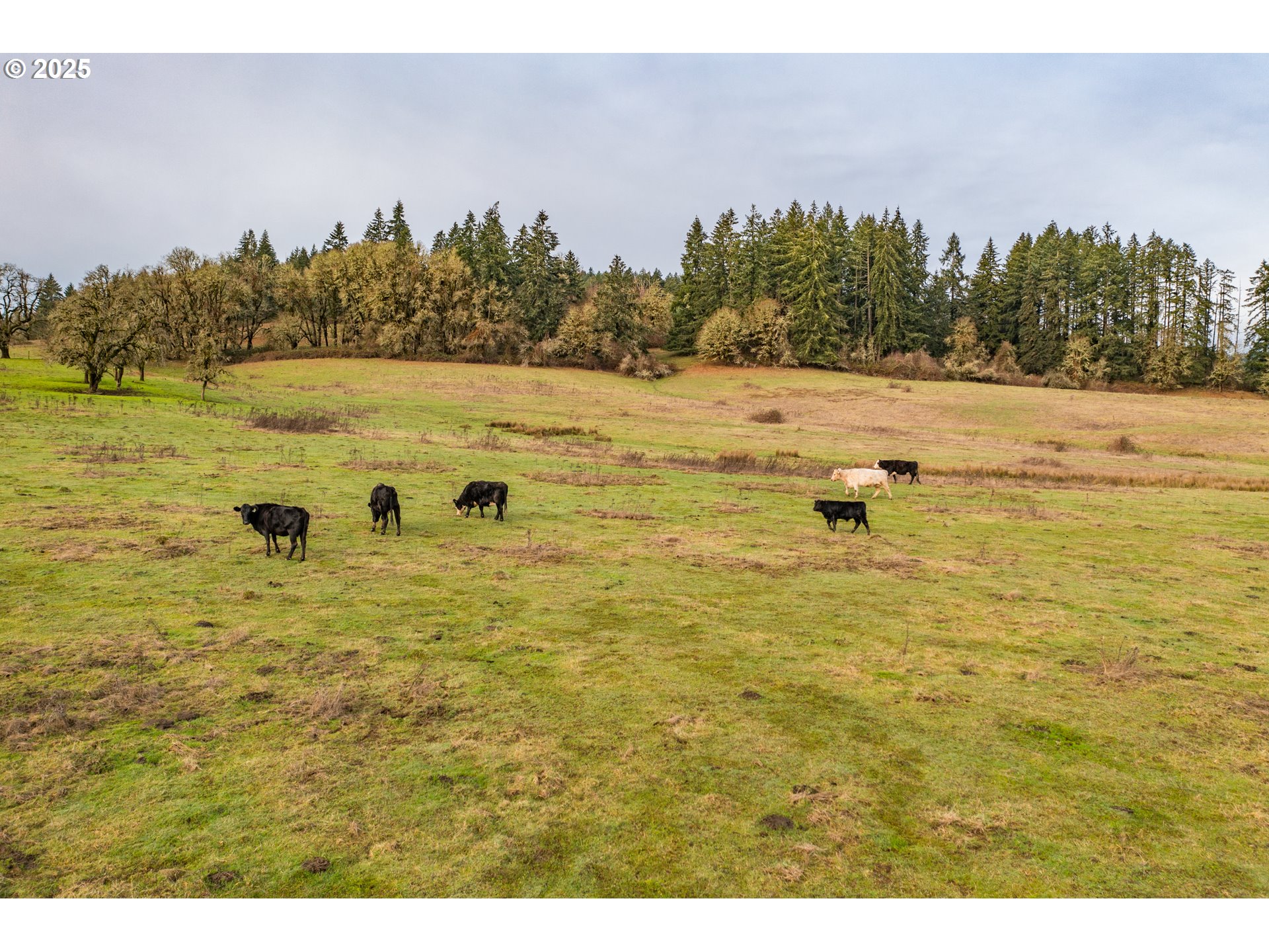 0 Airlie Road Monmouth, OR 97361 - Photo 9 of 33 Gallery Image 9