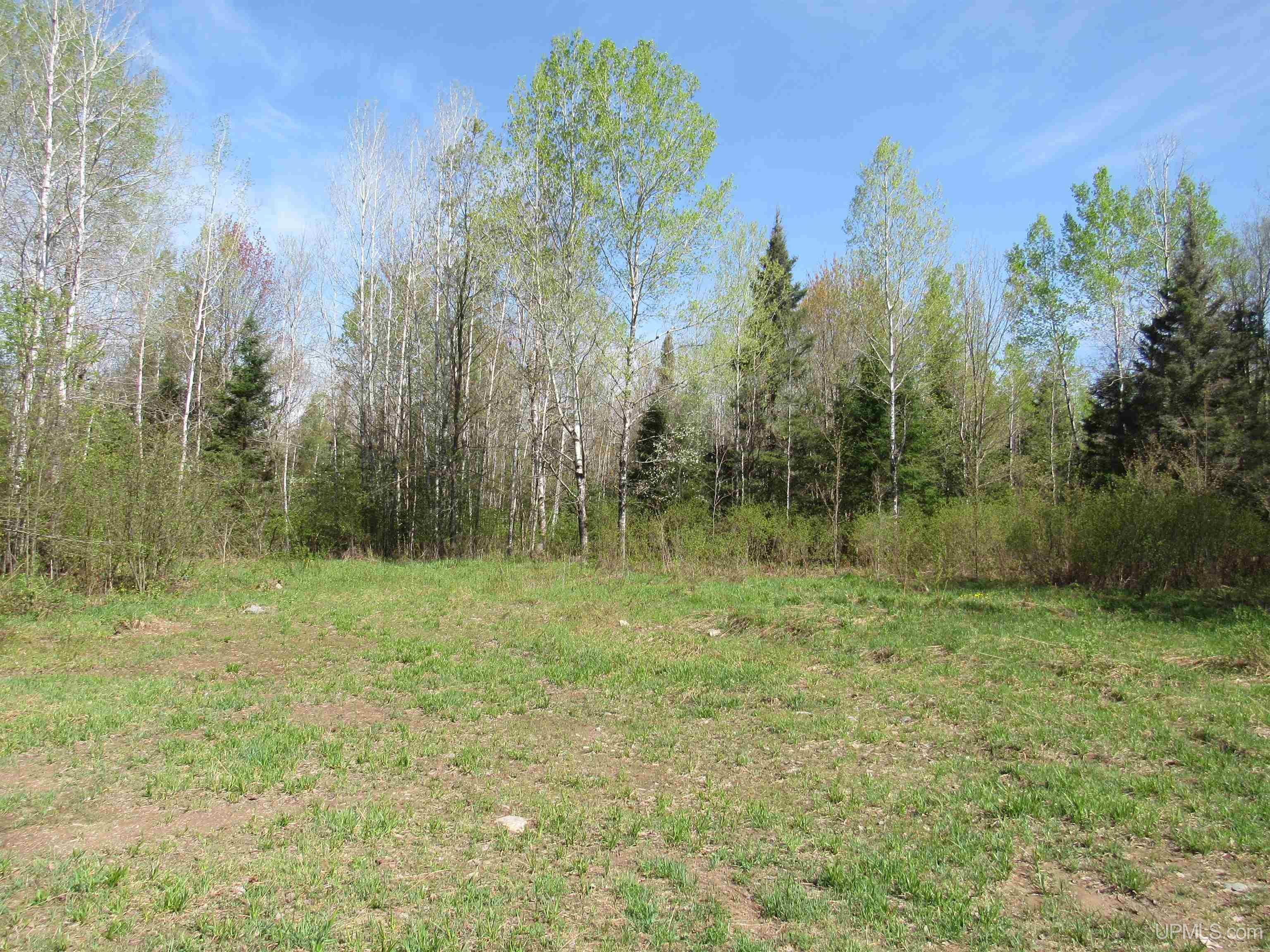 Tbd Us 141 Road, Unit LUKES ROAD Amasa, MI 49903 - Photo 7 of 22