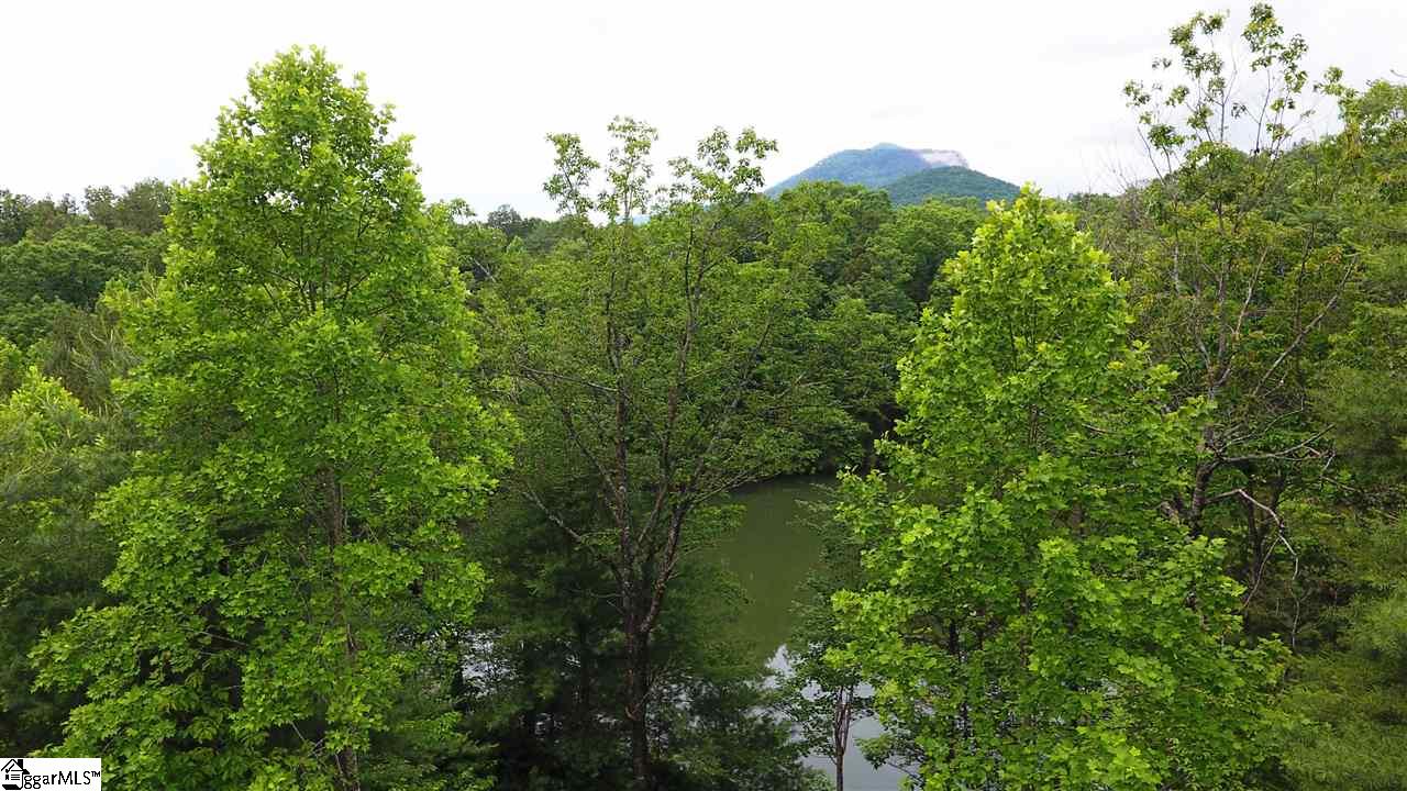 220 Raven Cliff Road Cleveland, SC 29635 - Photo 11 of 36 Gallery Image 11