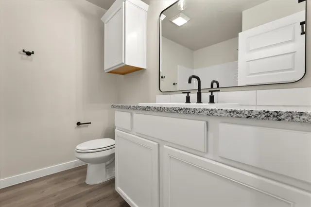 a bathroom with a sink and a toilet