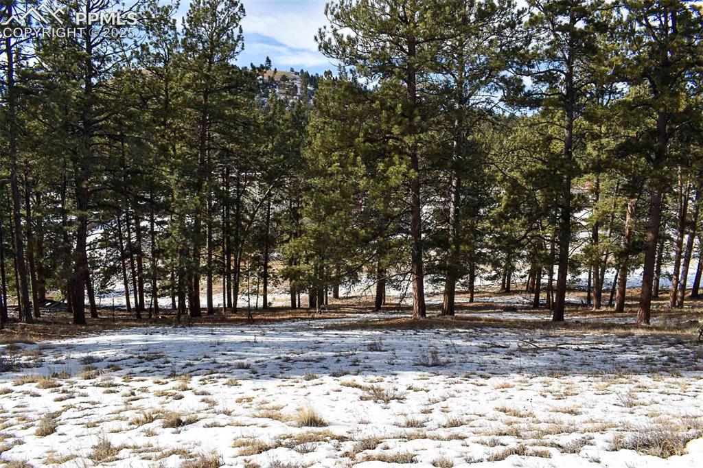 6th Street Guffey, CO 80820 - Photo 20 of 28
