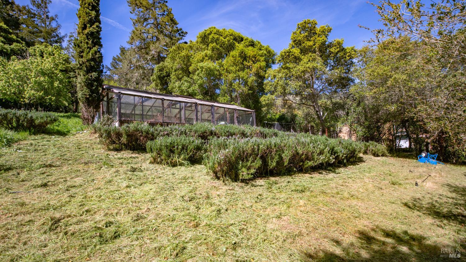1 Alamo Way Lagunitas, CA 94938 - Photo 25 of 47 a view of backyard with green space