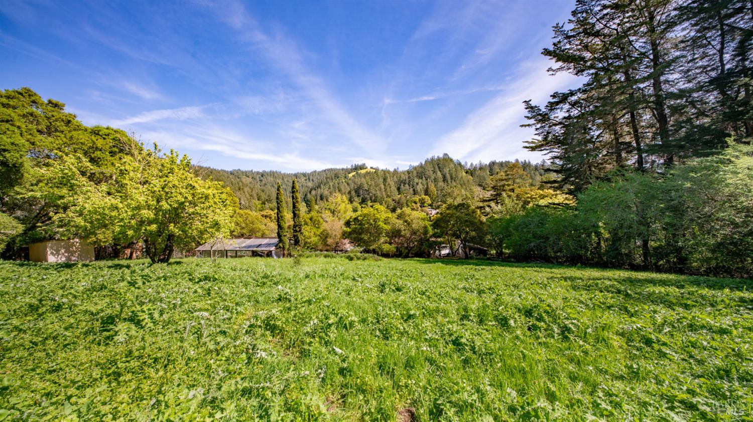 1 Alamo Way Lagunitas, CA 94938 - Photo 27 of 47 a view of a green field with lots of bushes