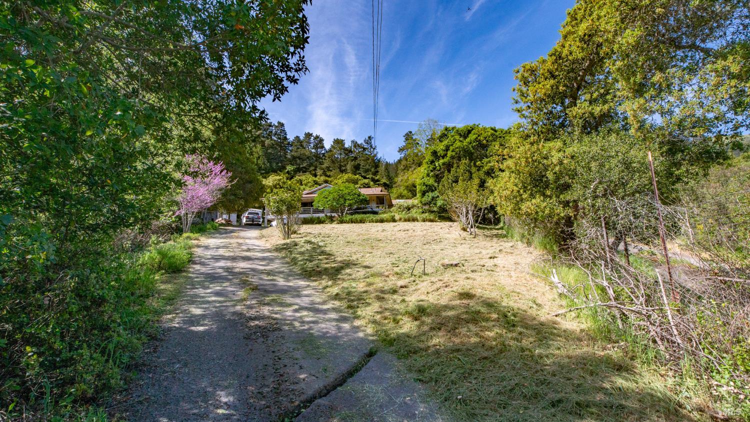 1 Alamo Way Lagunitas, CA 94938 - Photo 4 of 47 a view of a yard with plants and trees