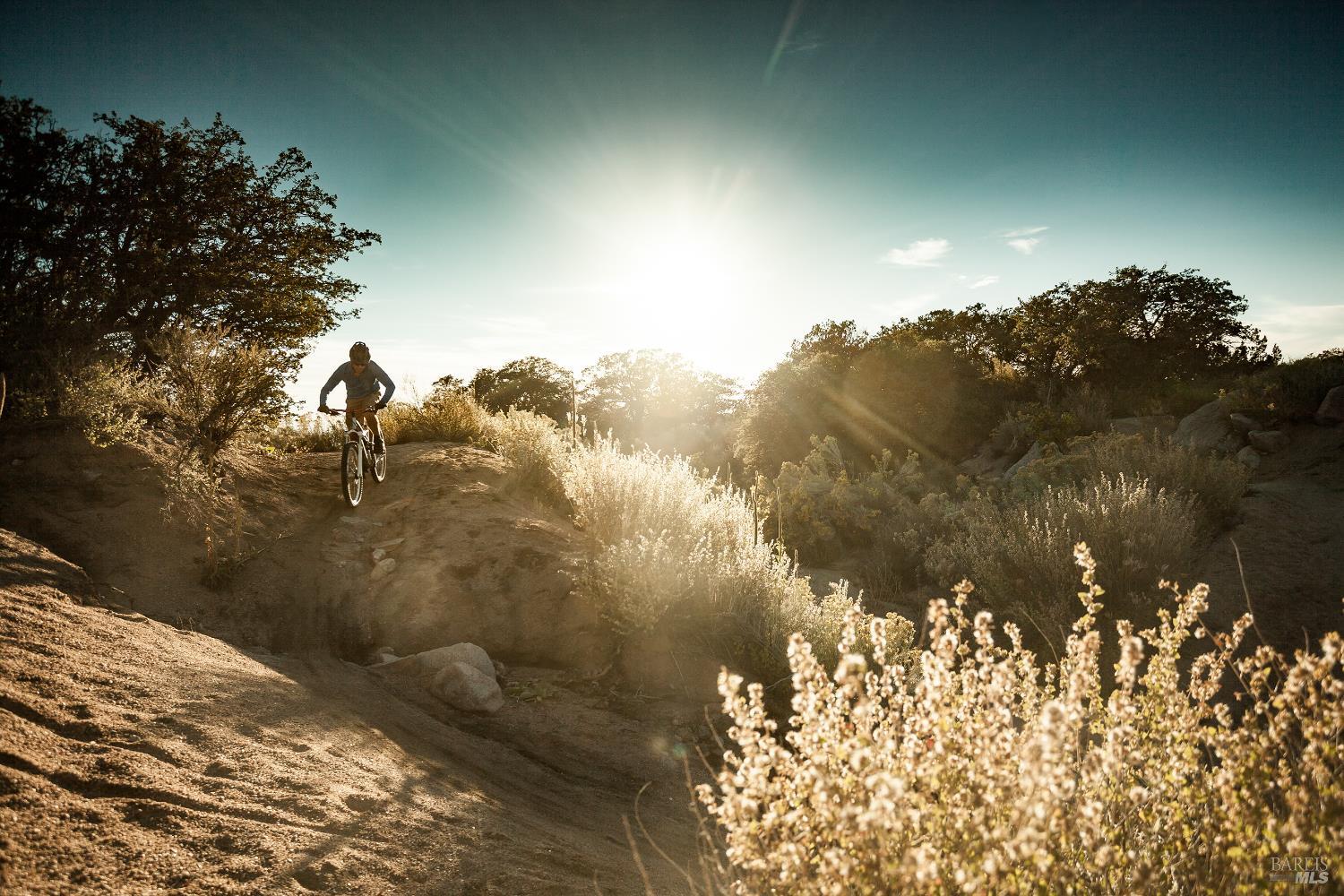 1 Alamo Way Lagunitas, CA 94938 - Photo 46 of 47 a sunset view