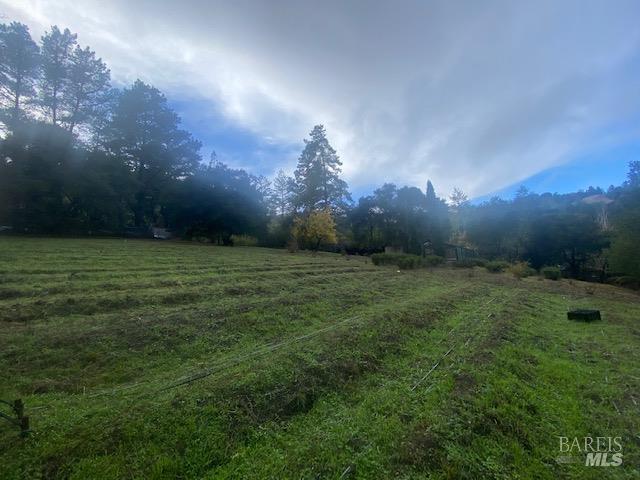 1 Alamo Way Lagunitas, CA 94938 - Photo 5 of 47 a view of a green field
