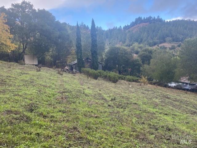 1 Alamo Way Lagunitas, CA 94938 - Photo 7 of 47 a view of a backyard