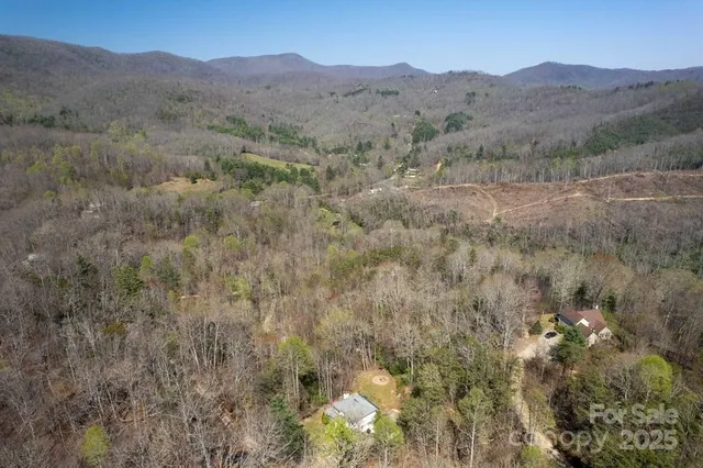a view of a mountain range with trees in the background