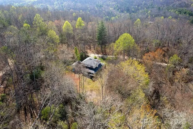 a view of a yard in a forest
