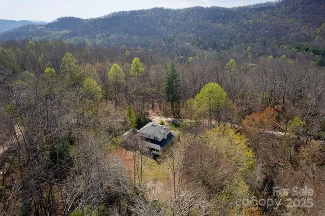 a view of a lake with a mountain in the background