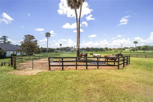 $1,695,000 | 7137 South Magnolia Avenue, Ocala, FL 34480