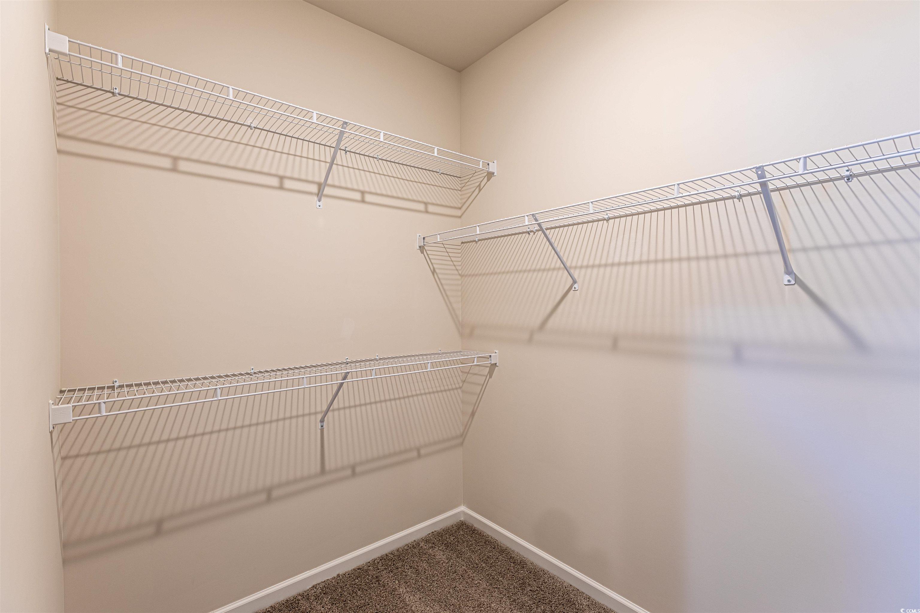 556 Honeyhill Loop Conway, SC 29526 - Photo 16 of 40 Walk in closet featuring carpet flooring