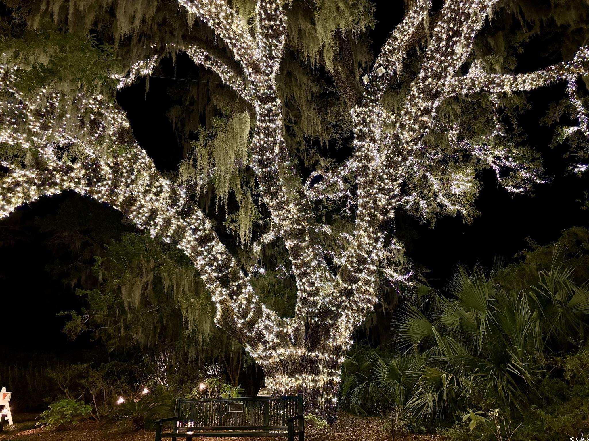 556 Honeyhill Loop Conway, SC 29526 - Photo 31 of 40 View of details