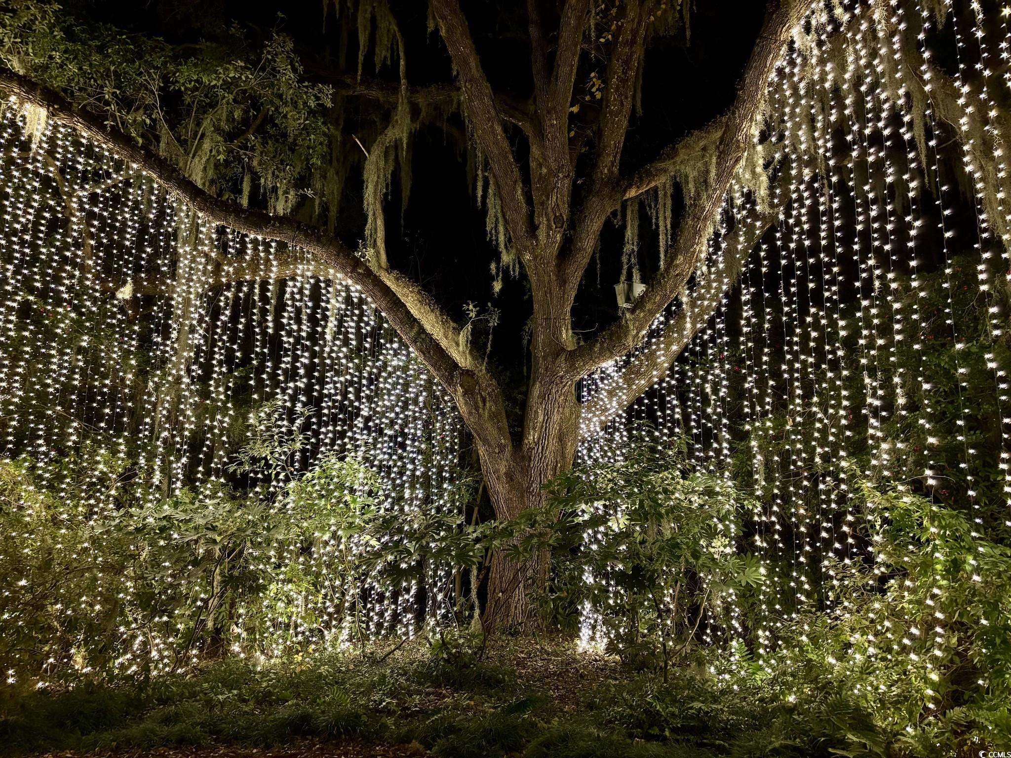 556 Honeyhill Loop Conway, SC 29526 - Photo 32 of 40 View of details