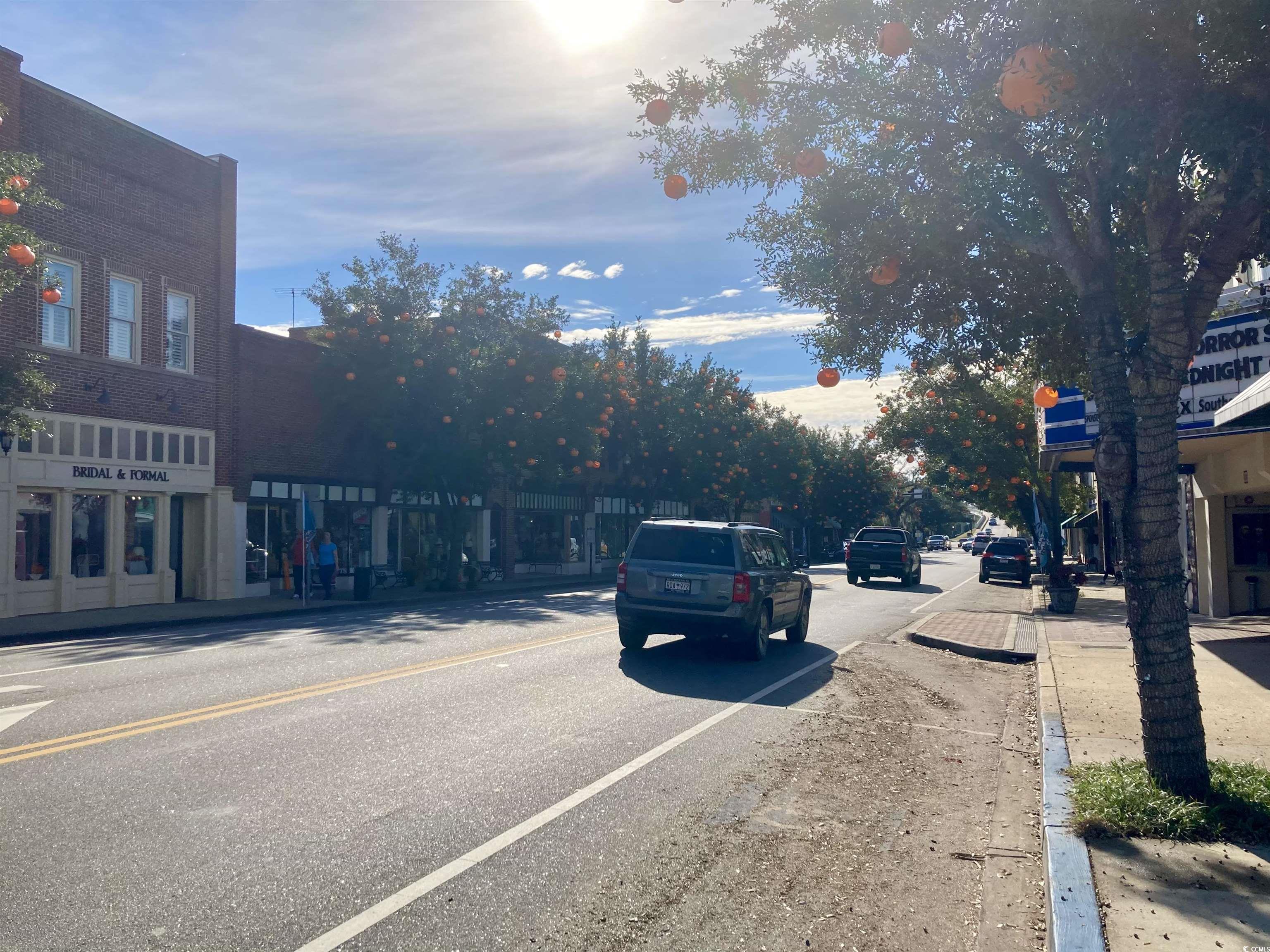 556 Honeyhill Loop Conway, SC 29526 - Photo 39 of 40 View of road with curbs and sidewalks