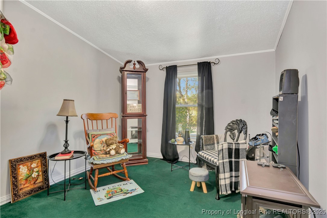 437 Paul Road Pembroke, NC 28372 - Photo 22 of 28 a living room with furniture and a floor to ceiling window