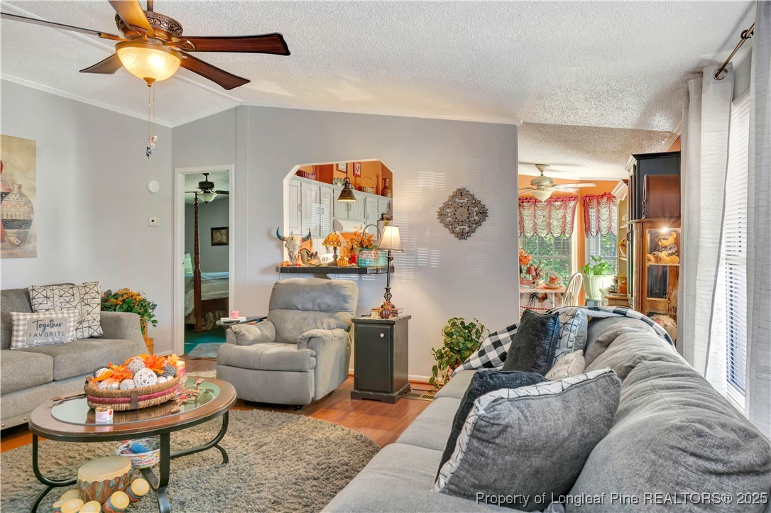 437 Paul Road Pembroke, NC 28372 - Photo 9 of 28 a living room with furniture and a large window