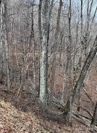 $15,000 | 0 Spring Brook Drive, Unit 314, Mars Hill, NC 28754