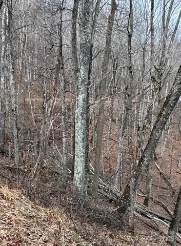 $15,000 | 0 Spring Brook Drive, Unit 314, Mars Hill, NC 28754