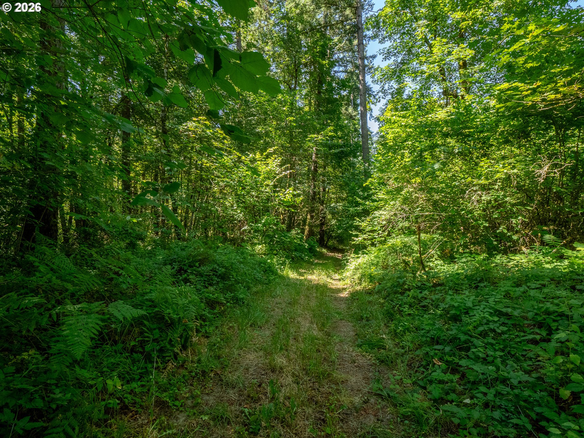 34175 Northeast Wilsonville Road Newberg, OR 97132 - Photo 8 of 46