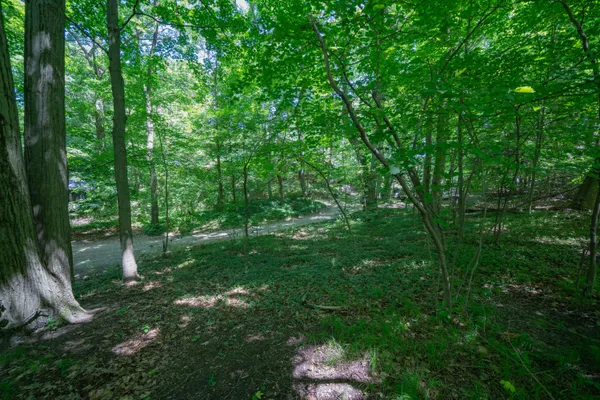 $79,000 | Vl Ramblewood Drive, Covert, MI 49043