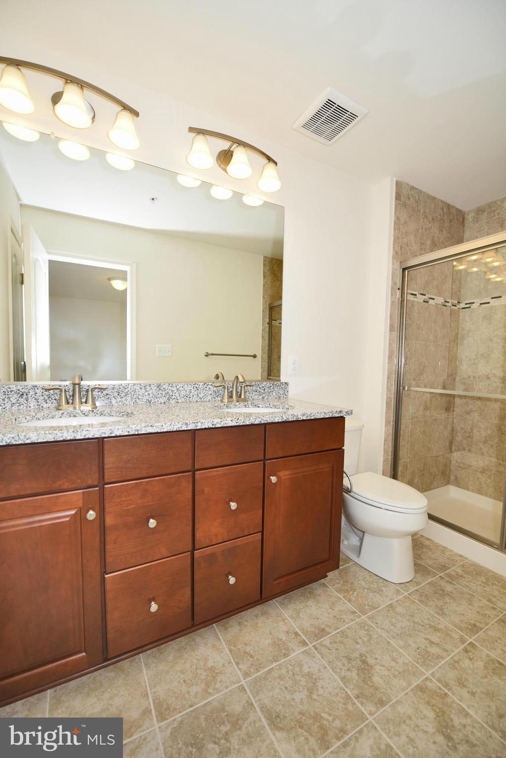 907 Ramble Run Road Baltimore, MD 21220 - Photo 11 of 30 Bath (Master)