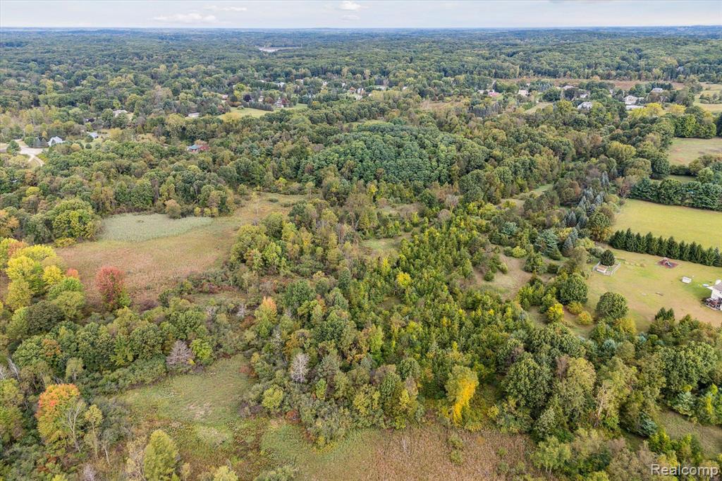 0 Swarthout Road Pinckney, MI 48169 - Photo 4 of 16