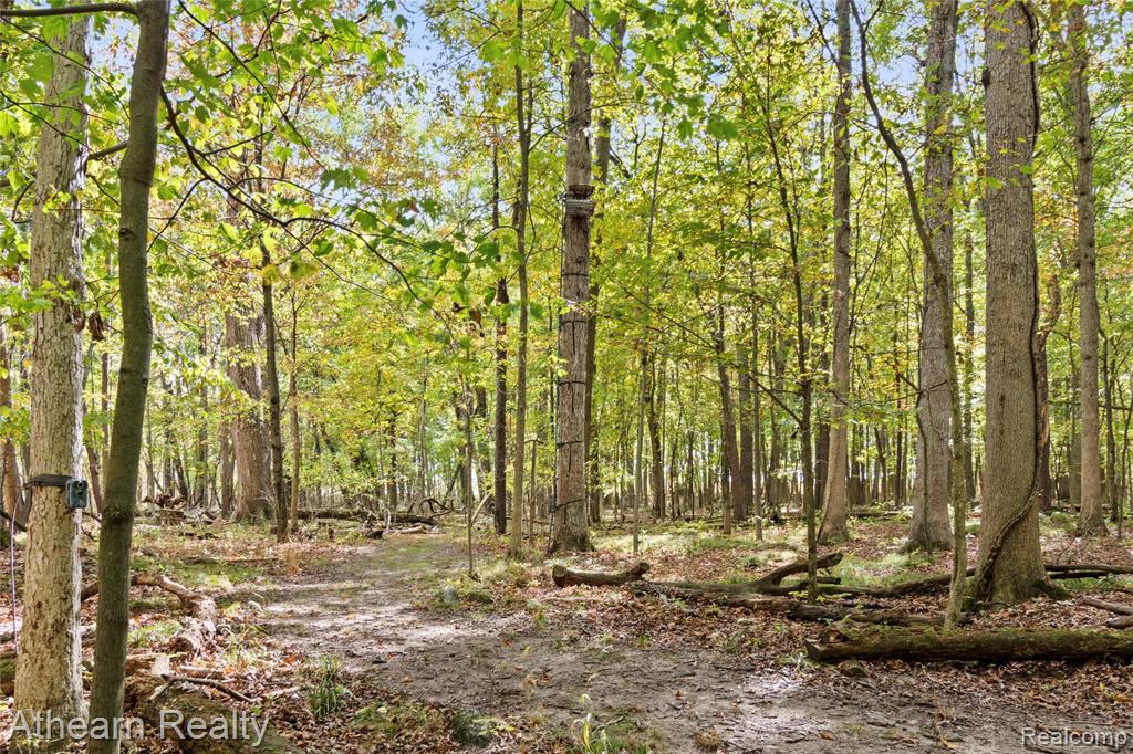 12471 Vernon Road Bancroft, MI 48414 - Photo 22 of 40