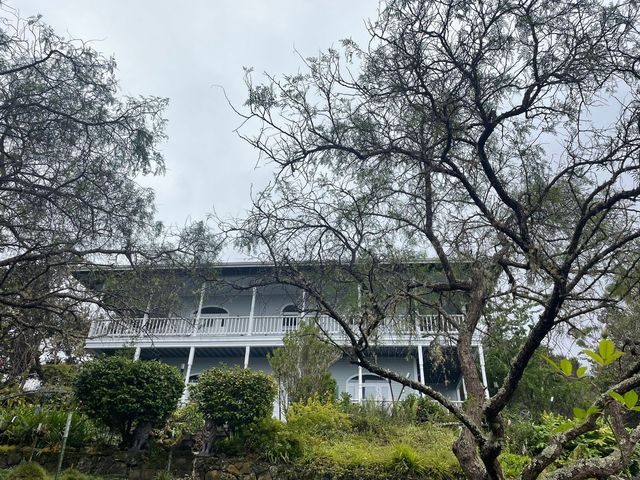 front view of house with a trees