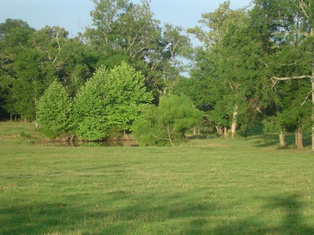 720 Cedar Grove Road Chapel Hill, TN 37034 - Photo 27 of 30 Gallery Image 27