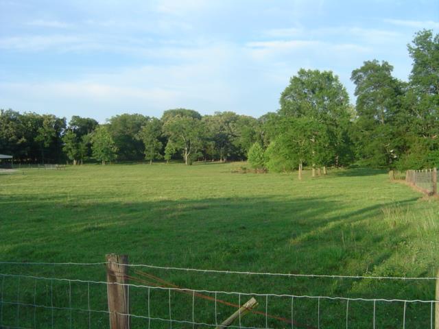 720 Cedar Grove Road Chapel Hill, TN 37034 - Photo 28 of 30 Gallery Image 28