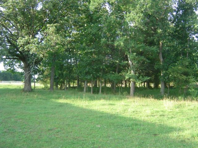 720 Cedar Grove Road Chapel Hill, TN 37034 - Photo 30 of 30 Gallery Image 30