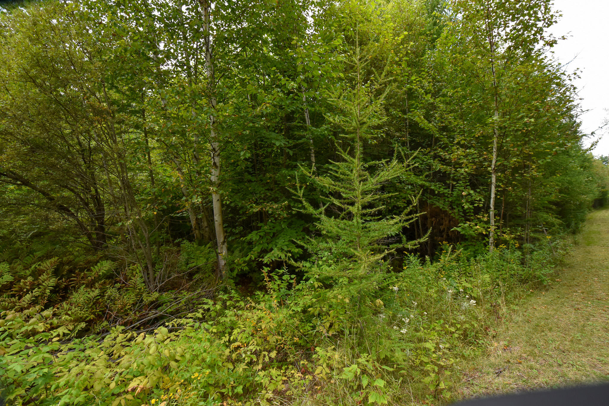3 Kolm Lane Sebec, ME 04481 - Photo 3 of 12 DSC_0584