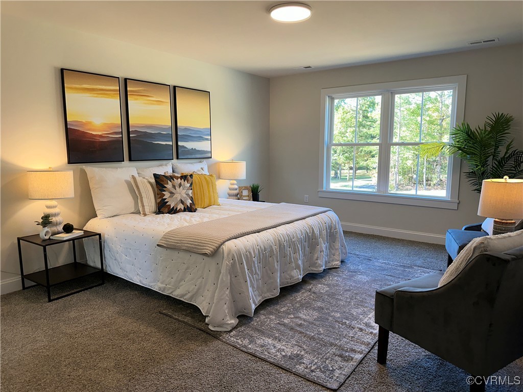 10621 Trents Bridge Road Chesterfield, VA 23838 - Photo 25 of 50 Primary bedroom