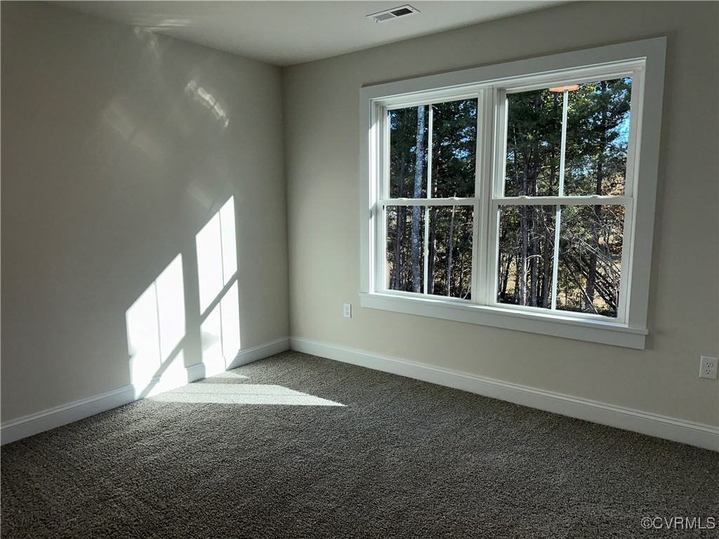 10621 Trents Bridge Road Chesterfield, VA 23838 - Photo 33 of 50 Back bedroom