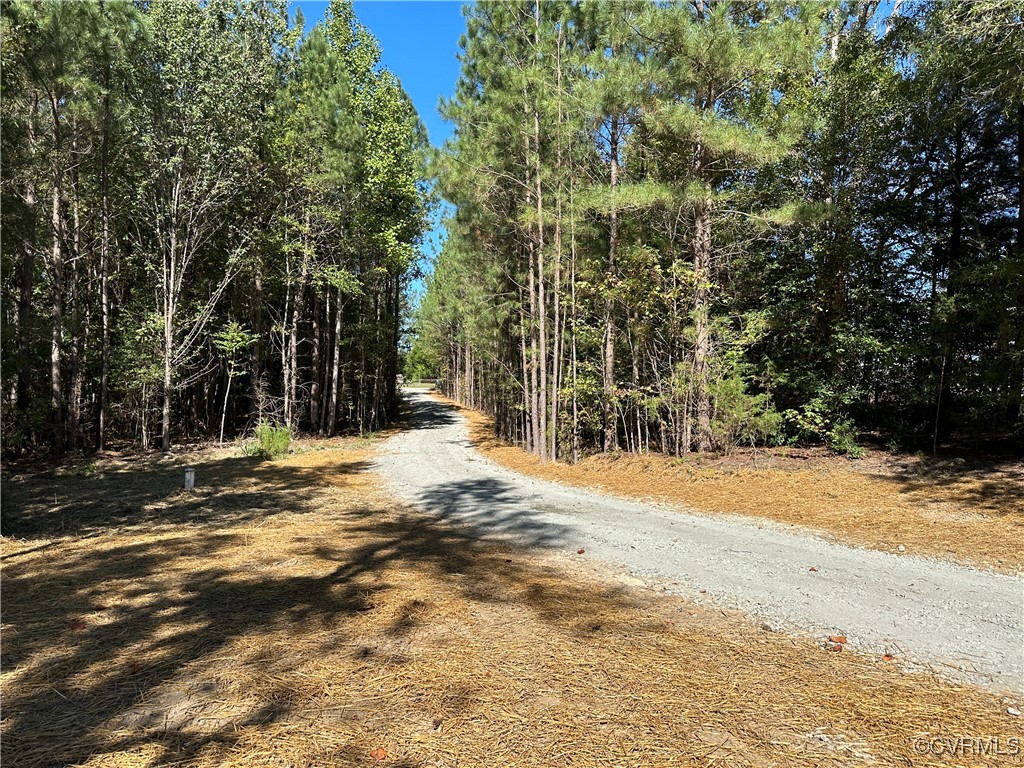 10621 Trents Bridge Road Chesterfield, VA 23838 - Photo 49 of 50 Long driveway - very private!