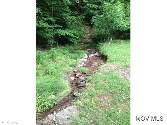 826 Long Run Road Waverly, WV 26184 - Photo 19 of 21 Creek