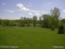 4927 Vines Road Howell, MI 48843 - Photo 5 of 12 Rear Property