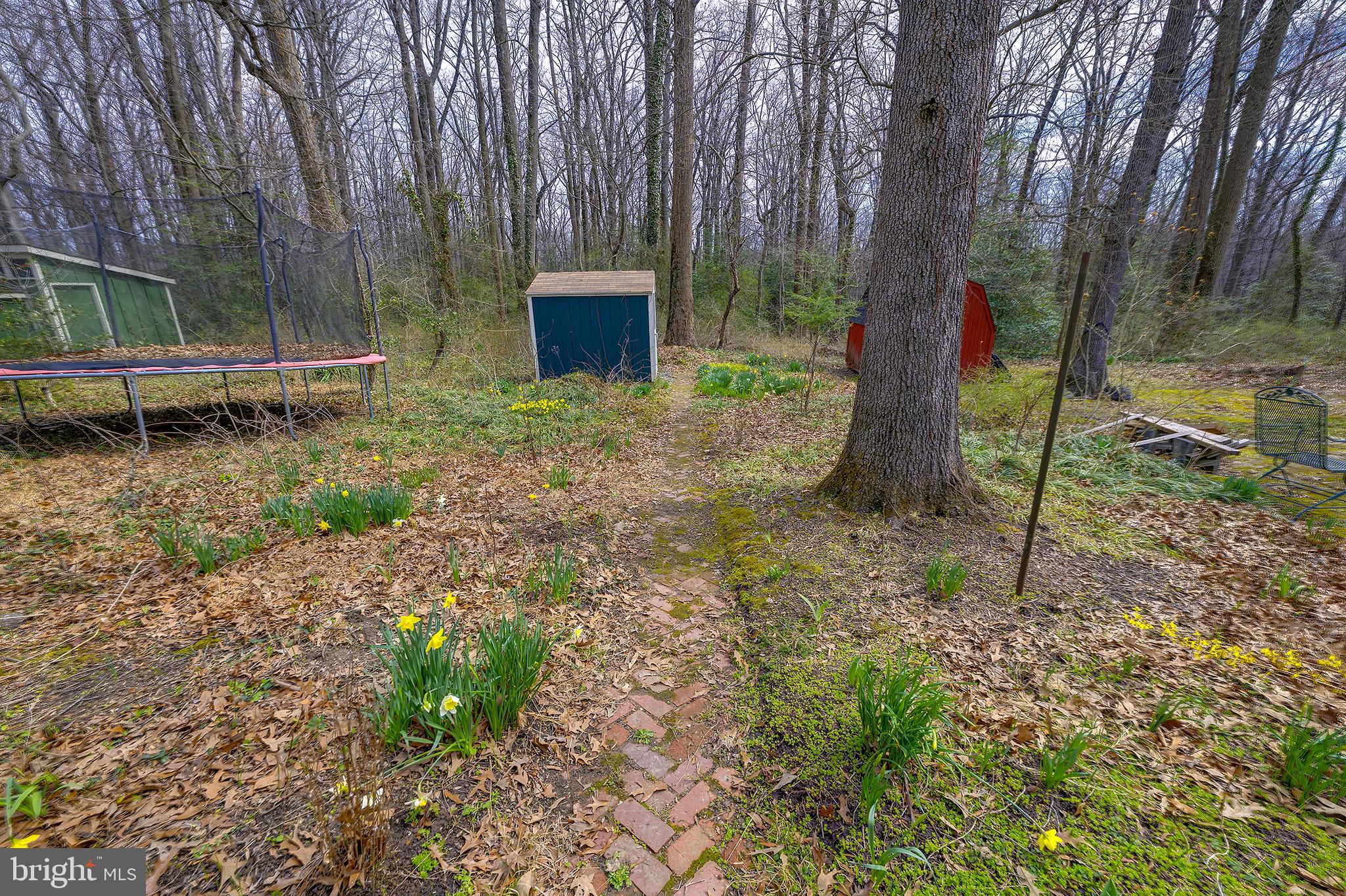 14 Laurel Hill Road Greenbelt, MD 20770 - Photo 37 of 41 a backyard of a house with lots of green space