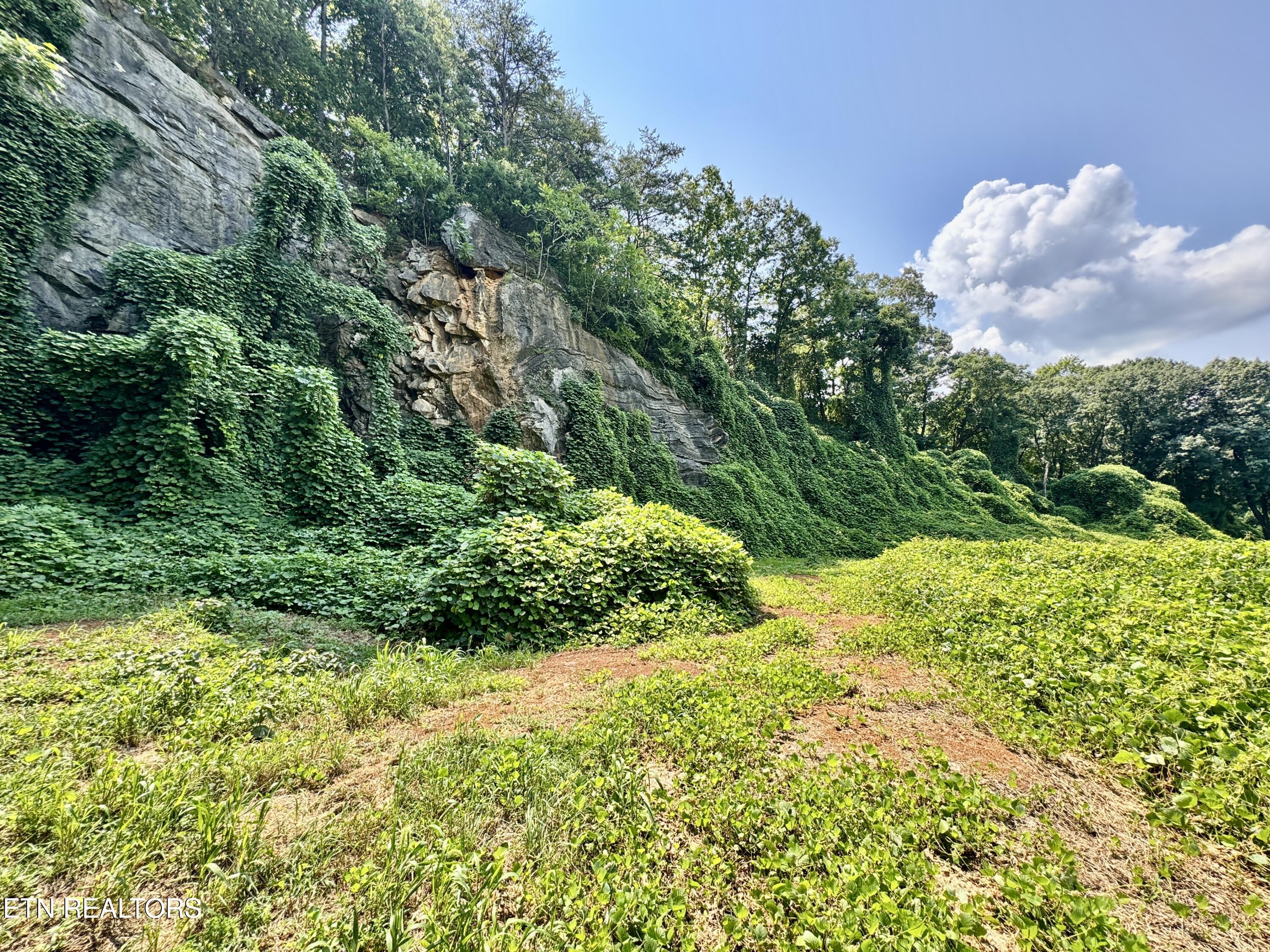 0 Tecoy Quarry Road Northwest Knoxville, TN 37921 - Photo 29 of 37 1-30