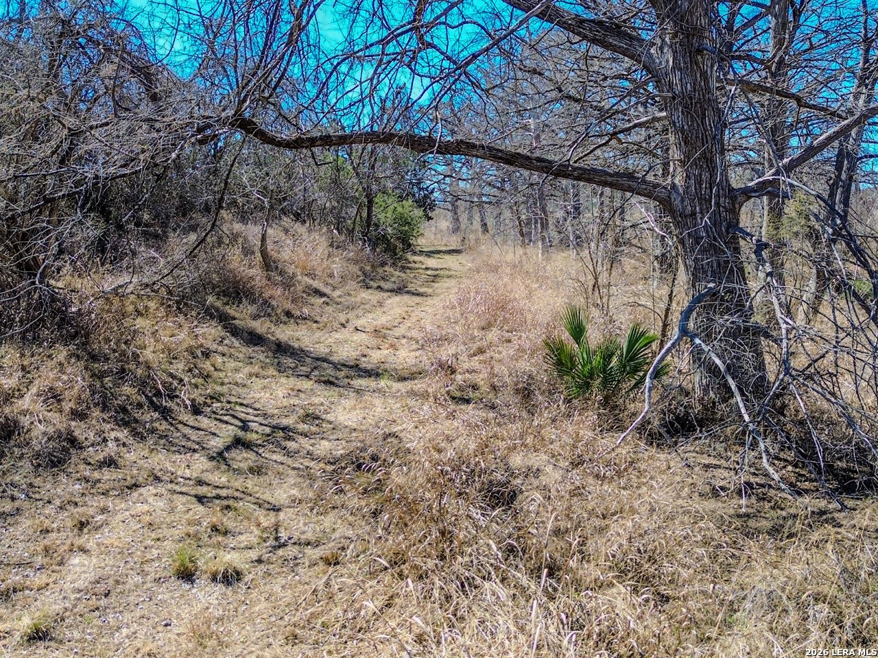 0 Ranch Rd 473 Blanco, TX 78606 - Photo 11 of 55