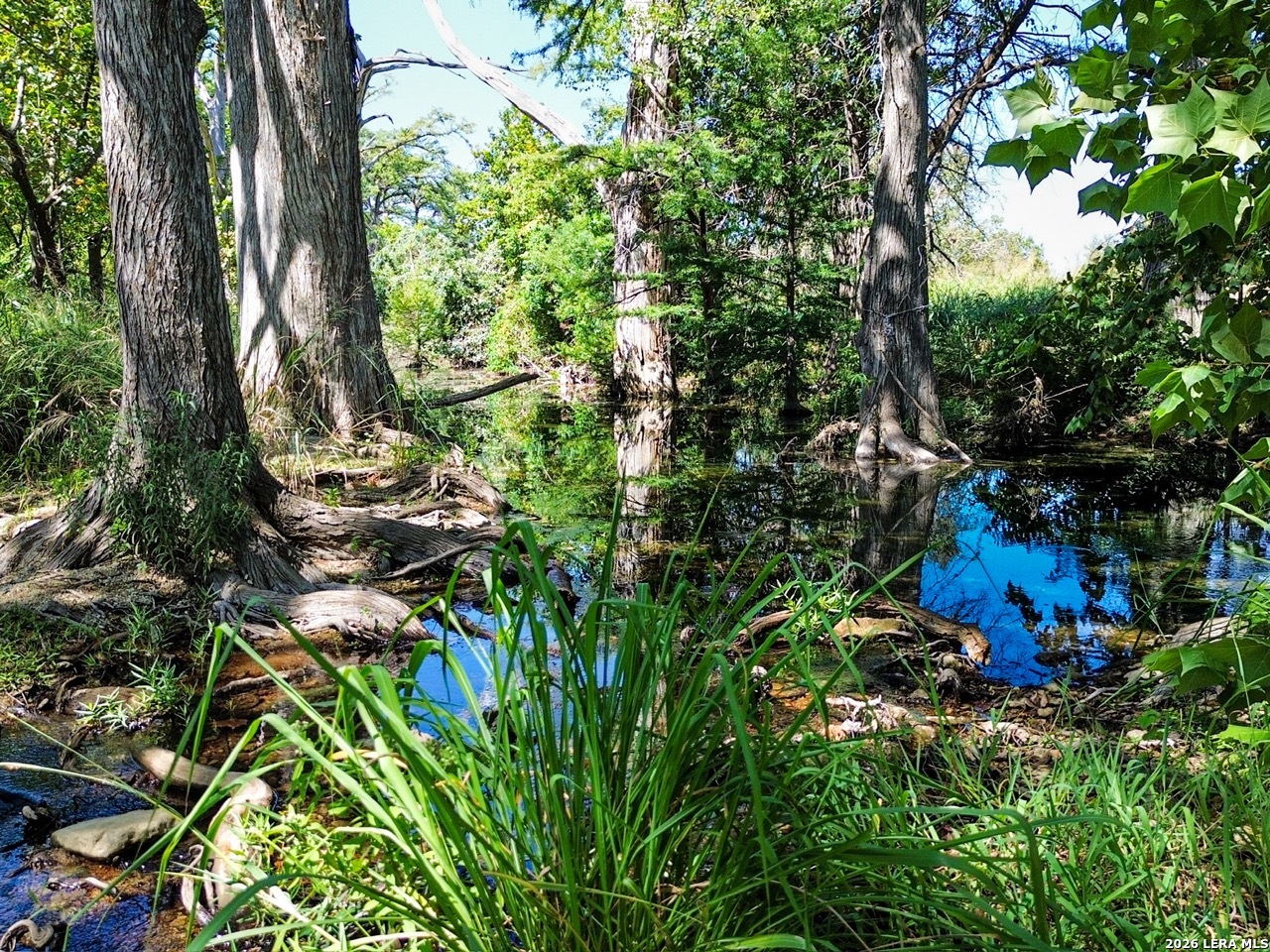 0 Ranch Rd 473 Blanco, TX 78606 - Photo 12 of 55